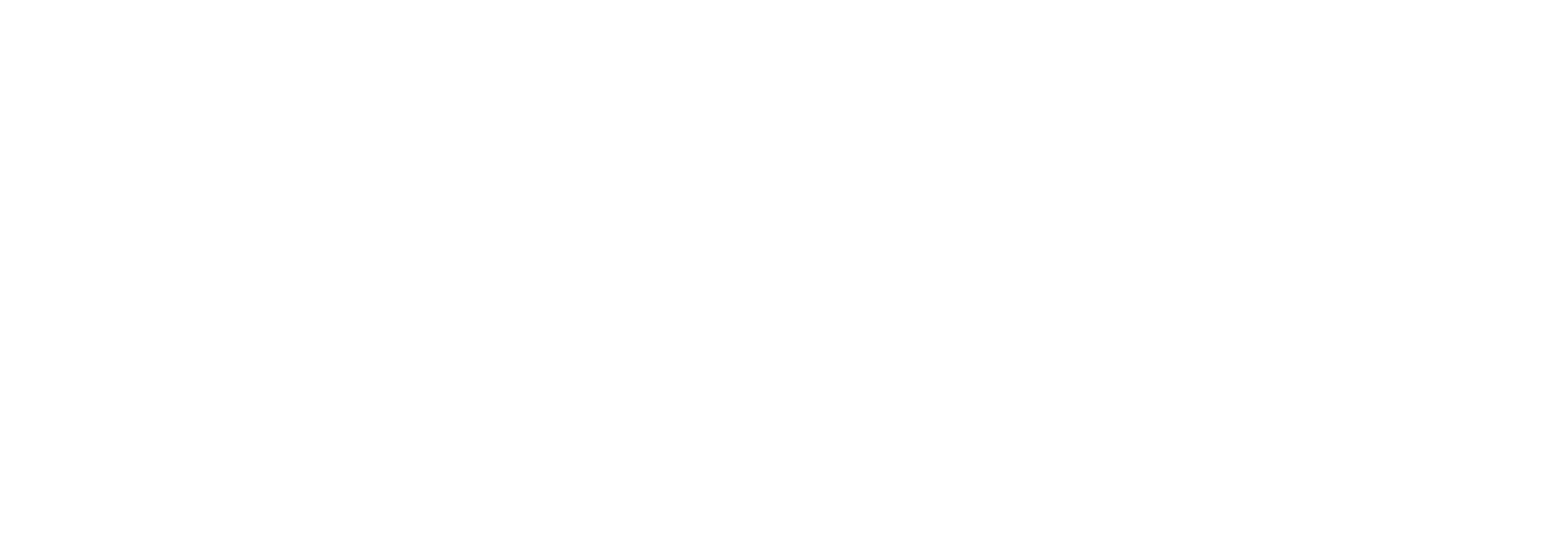 KernelX Labs wordmark, white